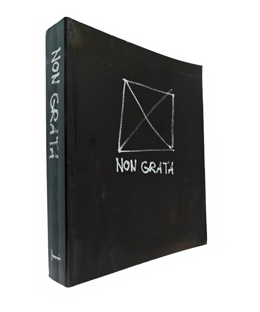 NON GRATA 1 - Art of the Invisibles