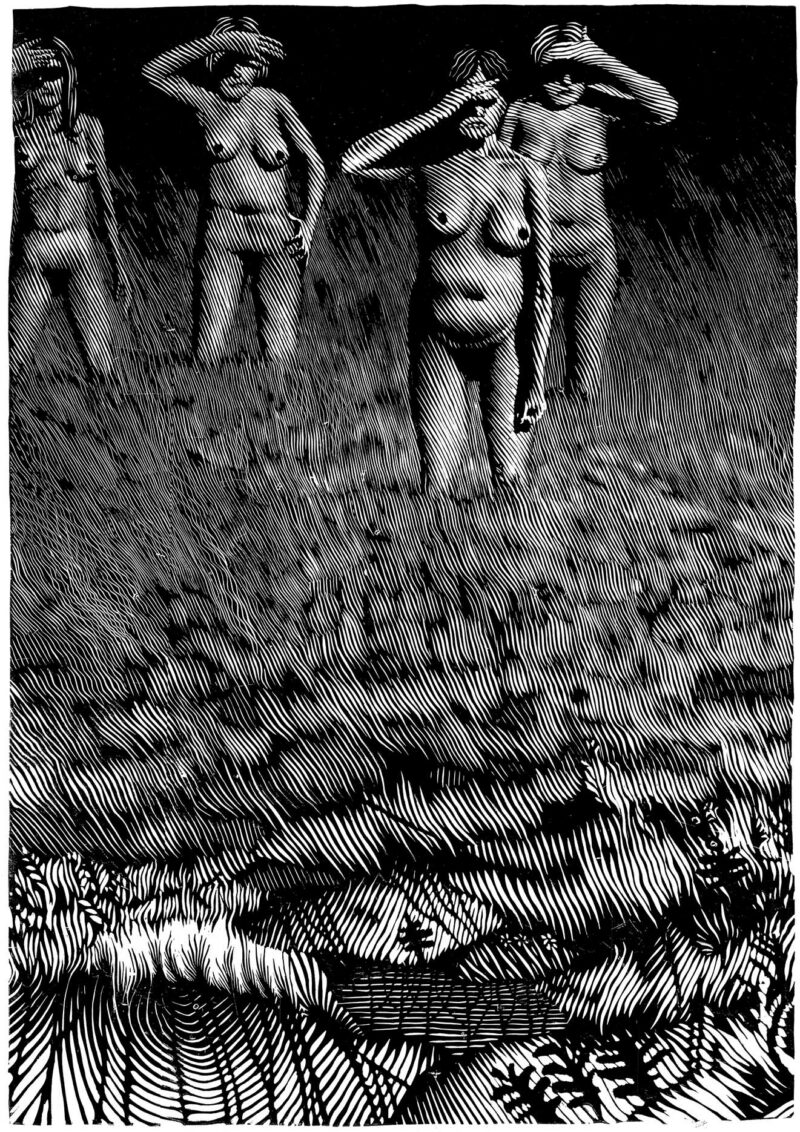 Metsa ääres / At the edge of the forest